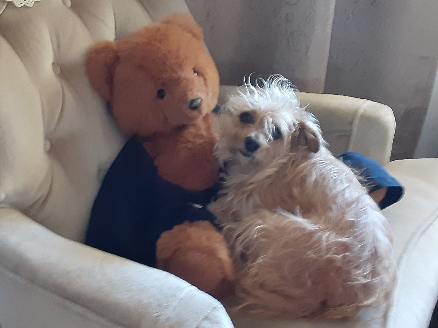 Peanut